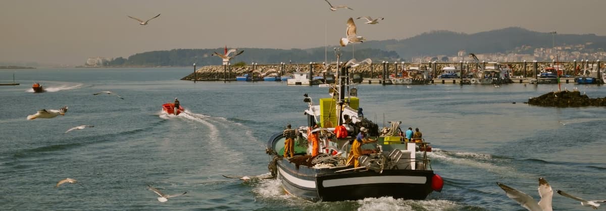 Sardinillas – Klein, aber das Maß aller Dinge