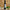 Balsamico-Essig aus Modena 25cl Martin Pouret