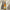 Bourgogne Chardonnay 2023 Jeanne la Folle Cellier des Dames