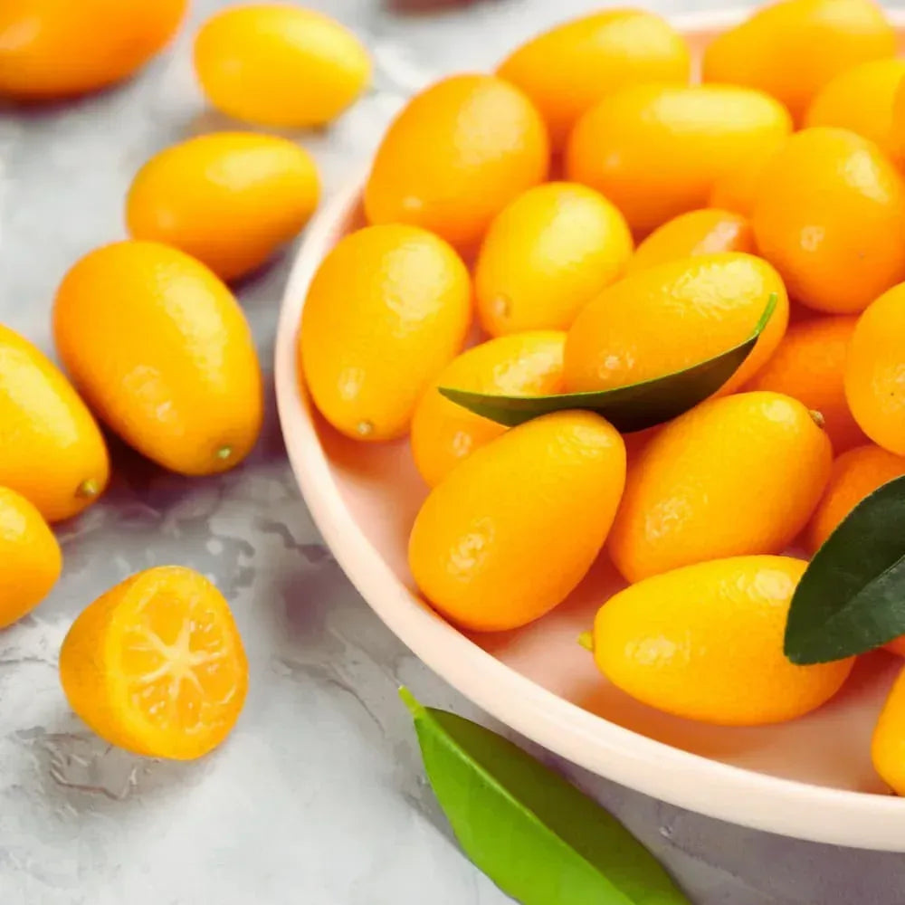 Kumquat-Konfitüre Extra 370g La Trinquelinette