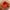 Pickles Tomaten mit Essig, Marc Peyrey 120g Marc Peyrey