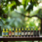 Adventskalender Portwein - Quevedo Quevedo