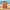 Sardine mit Batak-Pfeffer und Kurkuma in Rapsöl Belle Iloise