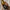 Chardonnay 2025 - L'instant Domaine Berthier
