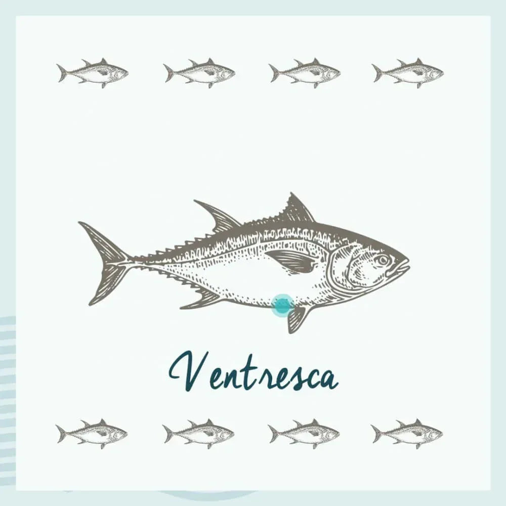 Thunfischbauch 120g in Olivenöl - Conservas de Tarifa Conservera de Tarifa