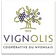 Vignolis
