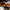 Wildschweinterrine mit Birnen und Schnaps - Wild - 100g Nemrod
