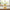 Miel Martine – Garrigue-Honig (Miel de Garrigue) 250g Miels Martine