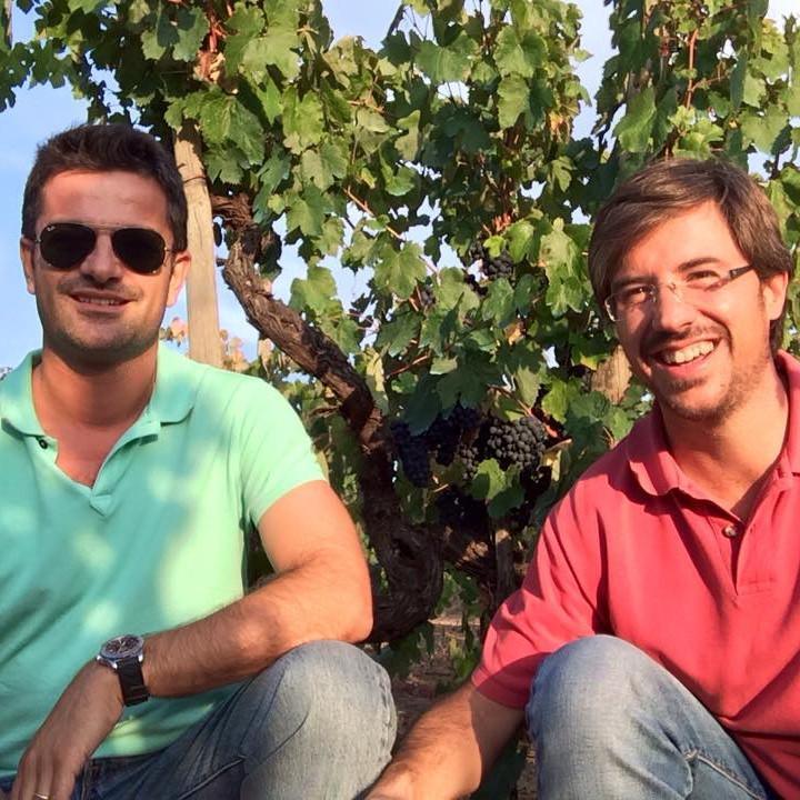 Druida 2017 Tinto - Dão Nuno Mira do Ó