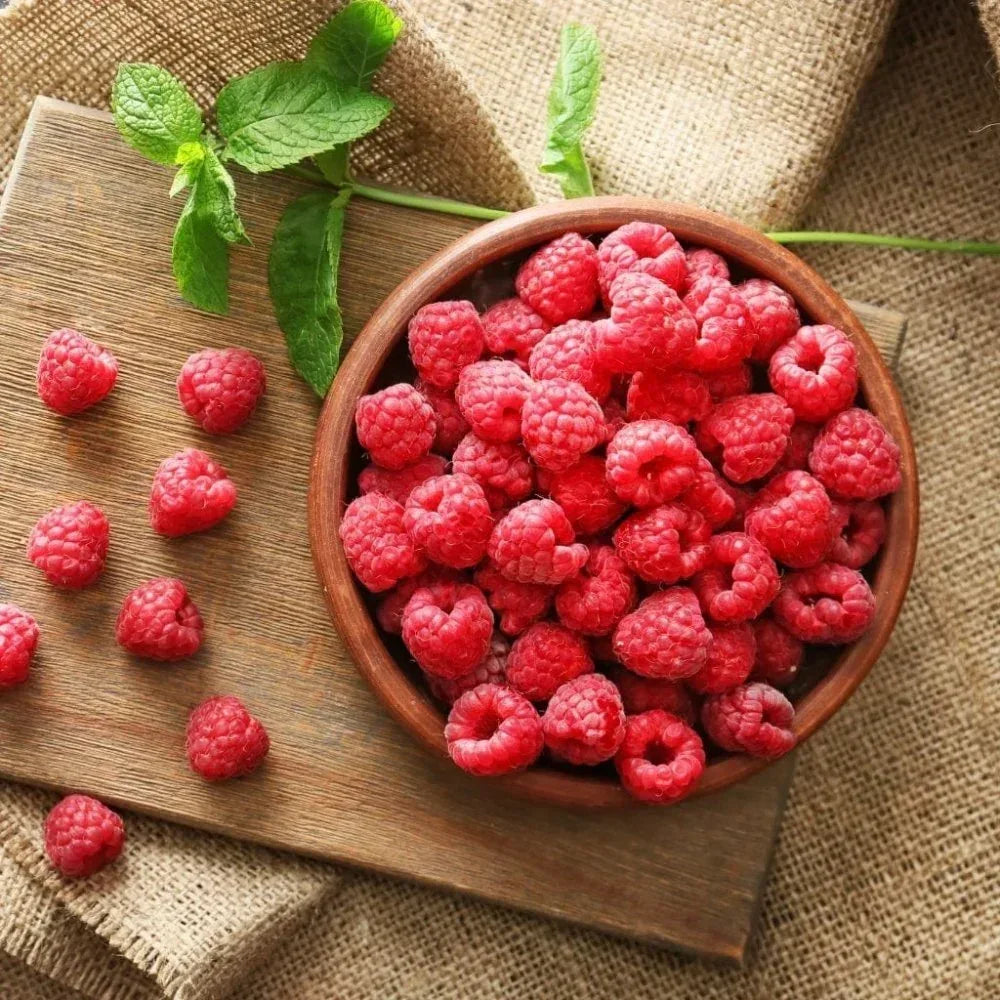 Eau de Vie de Framboise 45% Briottet Maison Briottet