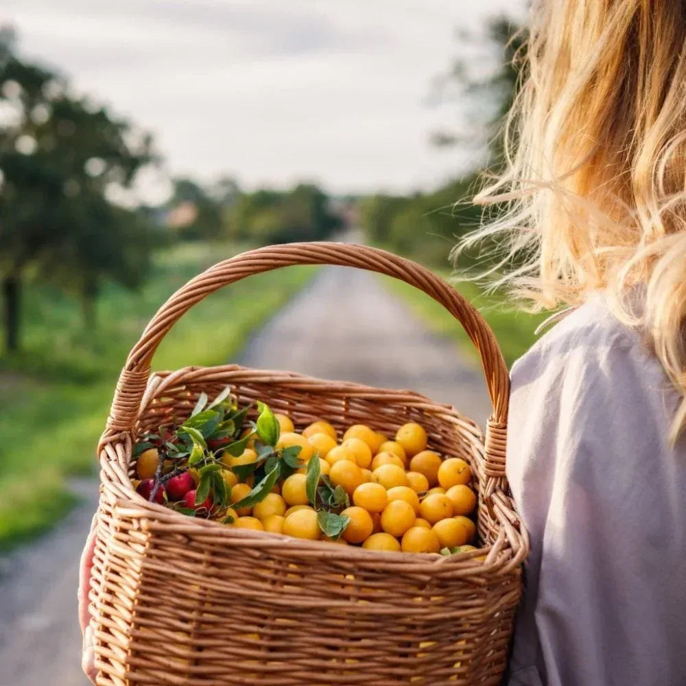 Eau de Vie de Mirabelle Maison Briottet