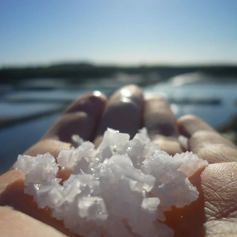 Fleur de Sel de Guérande Vent d'Est Atelier du Sel- Morel et Le Chantoux