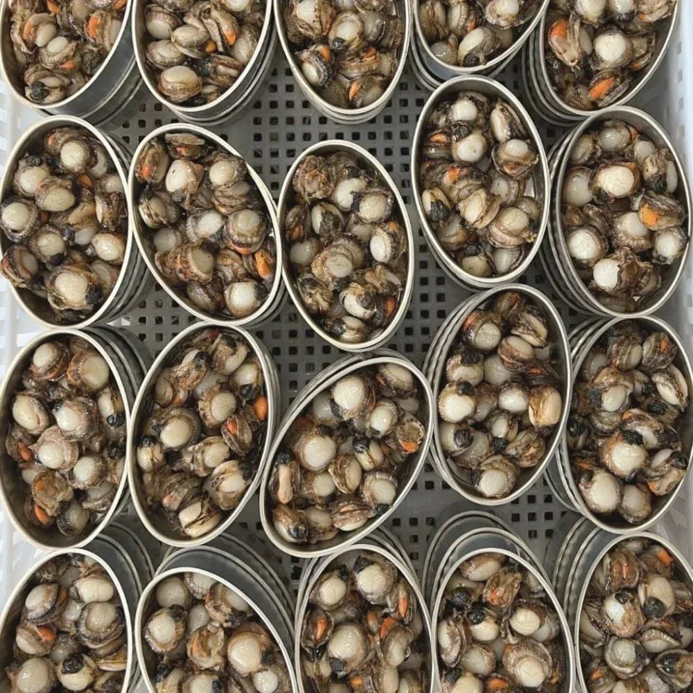 Kammmuscheln in Sauce-Vieira Ramón Peña