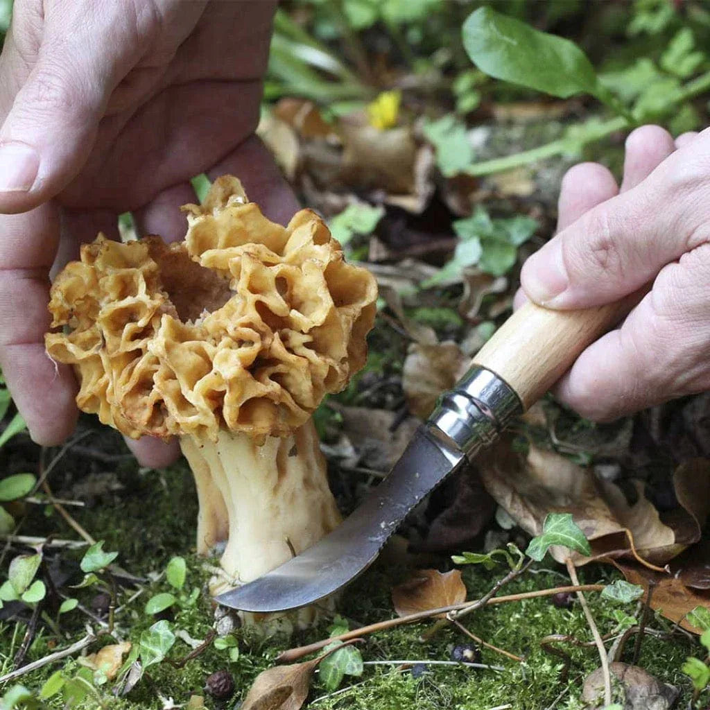 Opinel N° 8 Pilzmesser Opinel