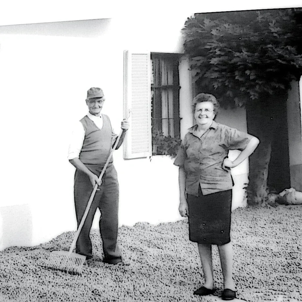 Piemonteser Haselnüsse Papa dei Boschi Azienda Agricola Papa dei Boschi