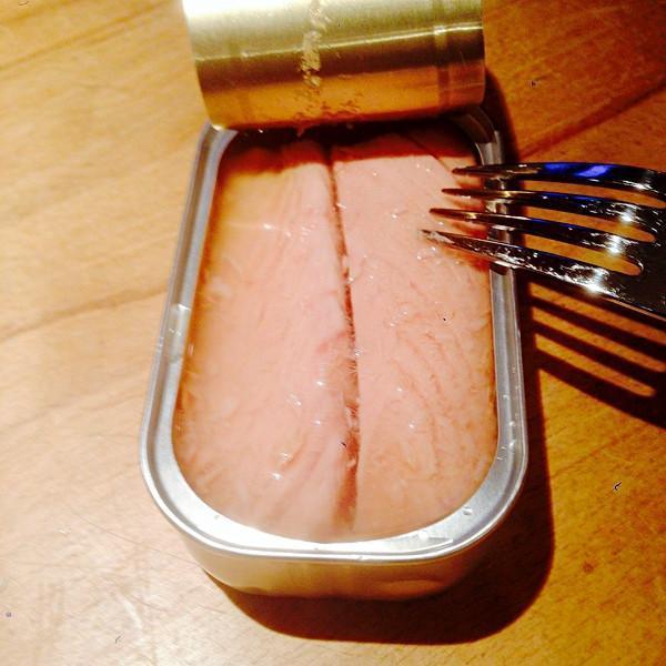 Thunfischfilets Natur (ohne Öl) von den Azoren Santa Catarina